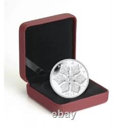 1 Oz Silver Coin 2012 $20 Canada Winter Crystal Snowflake Clear Swarovski