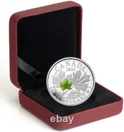 1 Oz Silver Coin 2014 $20 Canada Majestic Maple Leaves with Green Jade Stone