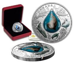 1 oz Silver Coin 2017 $20 Canadian Underwater Life 3D Walrus Water droplet