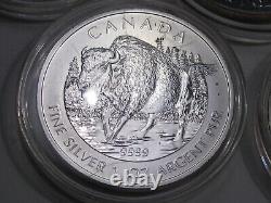 10 Silver 2016 $8 UNC Canadian Bison 1 oz. 9999 Fine Coins CANADA In Capsules