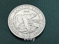 20 Pc Roll 1/2 oz Silver Canada 2018 Polar Bear Uncirculated Coins Mint Sealed