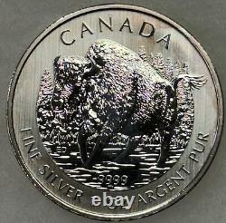 2013 Canada 25 Coin Maple Leaf Roll, $5 1 Oz. 9999 Silver Wood Buffalos, Gem Bu