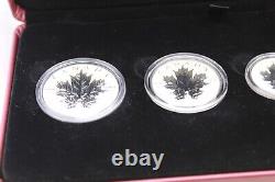 2013 Royal Canadian Mint Silver Maple Leaf Fractional 5-Coin Set