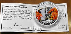 2014- Canada $20 Autumn Falls 1 oz. Silver proof coin with color and all OMP