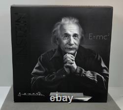 2015 Royal Canadian Mint $100 Silver 10oz Proof Coin Albert Einstein Special