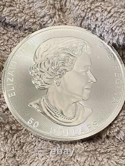 2017 Magnificent Maple 10 Oz. 9999 Fine Silver Coin Canadian Roya Mint