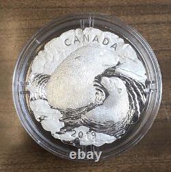 2019 Canadian Polar Bear Mother and Cub 5oz. Silver Coin-Unique Glacial Shape