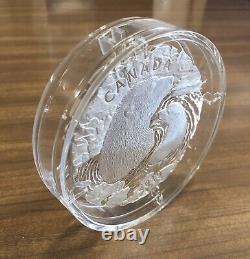 2019 Canadian Polar Bear Mother and Cub 5oz. Silver Coin-Unique Glacial Shape