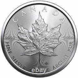 2023 1 oz Canadian Silver Maple Leaf Tube (25 Coins, BU)
