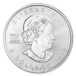 2023 Lot of (10) 1 Oz Canadian Maple Leaf Silver Bullion Coins Brilliant Uncircu