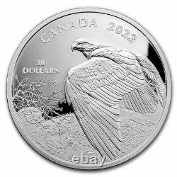 2023 RCM 2 oz Silver $30 Robert Bateman Vantage Point Bald Eagle SKU#271304