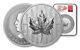 2024 Canada $50 5 Oz Pulsating Forest Maple Leaf Ngc Reverse Pf 70 Fdoi Taylor