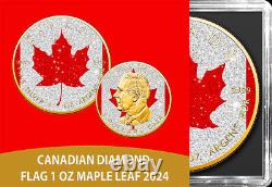 2024 Canada Maple Leaf Diamond Flag Edition 1 oz Silver Coin