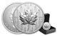 2024 Canada Pulsating Forest Maple Leaf 1 Oz Silver Ultra High Relief $20 Coin