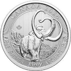 2024 Canada Silver Ice Age Woolly Mammoth 2 oz $10 14 Coin Mint Tube