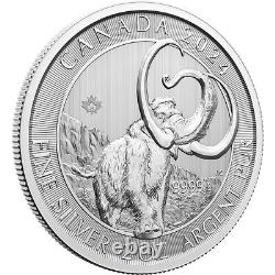 2024 Canada Silver Ice Age Woolly Mammoth 2 oz $10 14 Coin Mint Tube