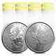 Lot Of 200 2023 1 Oz Canadian Silver Maple Leaf. 9999 Fine $5 Coin Bu 8 Roll